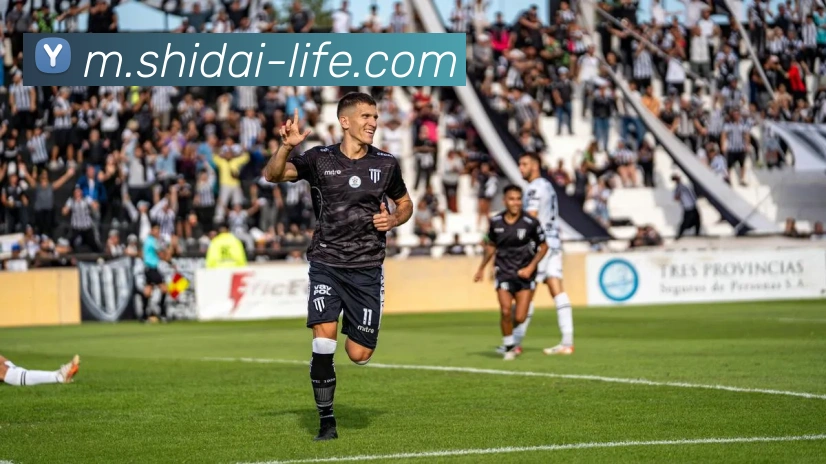 登录器 登录器
